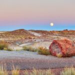 Self-Guided Audio Driving Tour in Petrified Forest National Park - Exploring the Parks Highlights