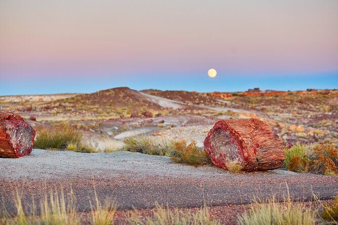 Self-Guided Audio Driving Tour in Petrified Forest National Park - Exploring the Parks Highlights