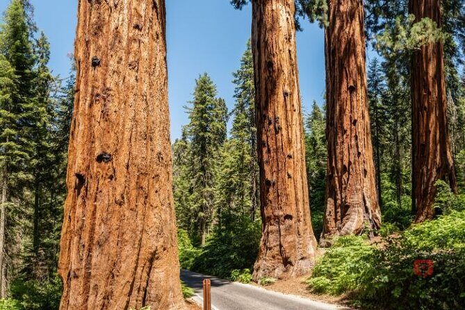 Self-Guided Audio Driving Tour in Sequoia and Kings Canyon - Final Thoughts