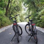 Self Guided Bike Tour on the Tralee to Fenit Greenway - What You Need to Know