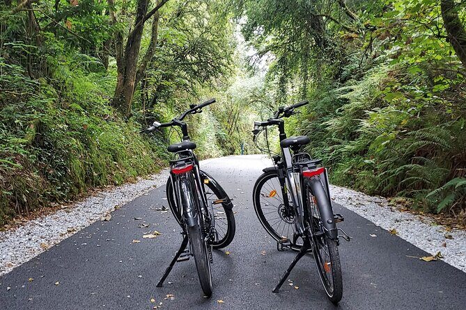 Self Guided Bike Tour on the Tralee to Fenit Greenway - What You Need to Know