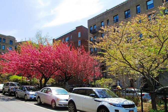 Self-Guided Buffalo Scavenger Hunt: Roaming Buffalo - An In-Depth Look at the Buffalo Scavenger Hunt Experience