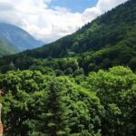 Self-guided Day Trip to Rila Monastery - The Experience’s Strengths and Caveats