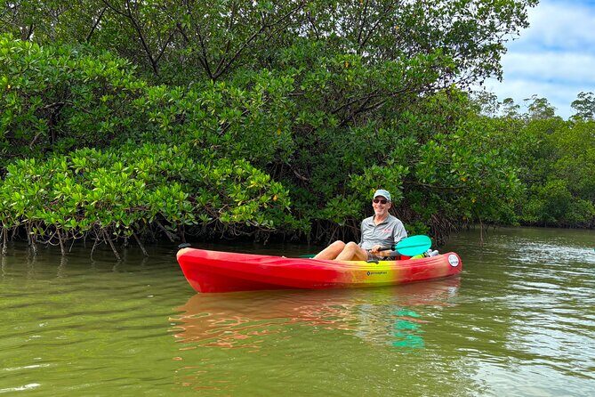 Self Guided EcoTour: Clear/Standard Kayaks -Bonita Springs - The Experience: From Booking to Paddling