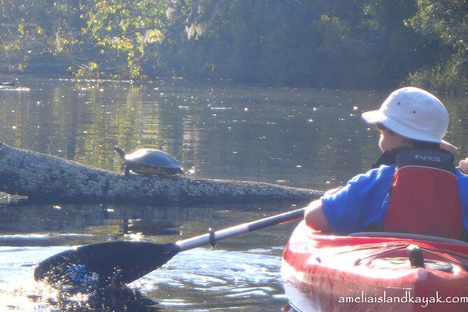 Self Guided Family Friendly Kayak Rental Experience Old Florida - What to Expect from Your Paddling Trip