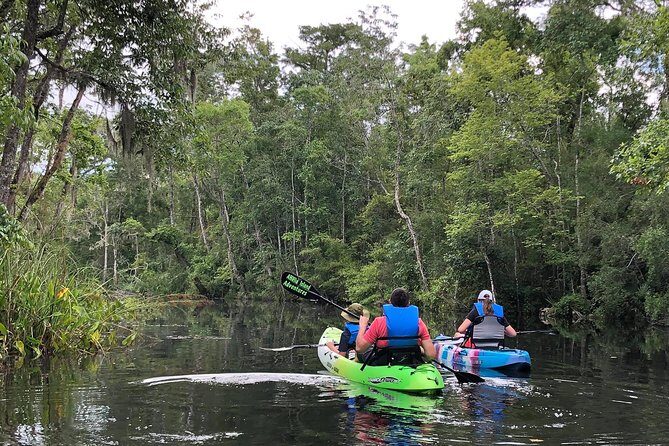 Self-Guided Kayaking: Real Florida Adventure - Key Points