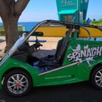 Self-Guided Sightseeing Tour on an Eletric Car | Funchal - The Experience: What It’s Like