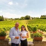 Sella delle Spine Taurasi: Tasting, Vineyard and Winery Tour - Who Will Love This Tour?