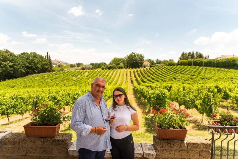 Sella delle Spine Taurasi: Tasting, Vineyard and Winery Tour - Who Will Love This Tour?