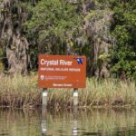 Semi-Private Manatee snorkeling with In Water Guide - The Real Deal: Pros and Cons