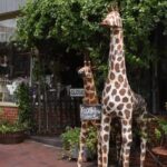 Senoia The Walking Dead Film locations 2 hours Walking Tour - The Sum Up