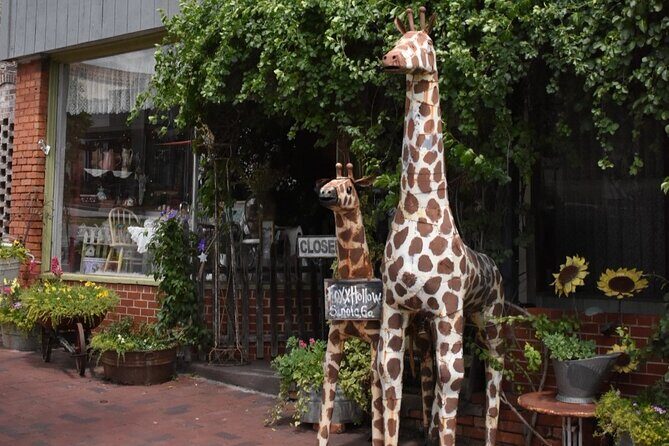 Senoia The Walking Dead Film locations 2 hours Walking Tour - The Sum Up