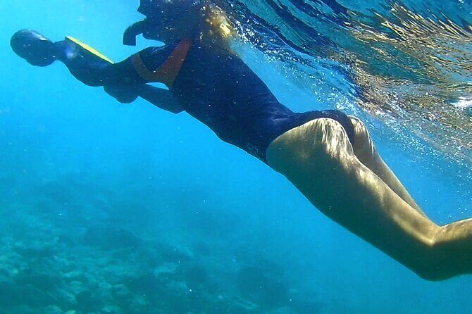 Sensational Sea Scooter Rentals - Pricing and Value