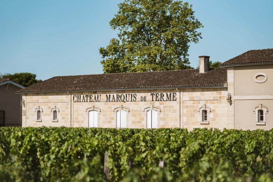 Sensory Tour of Bordeaux and Tasting in a Bordeaux vineyard - Who Should Consider This Tour?