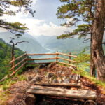 Serbia: Drina River House & Tara National Park Full Day Tour - A Deep Dive into the Tour