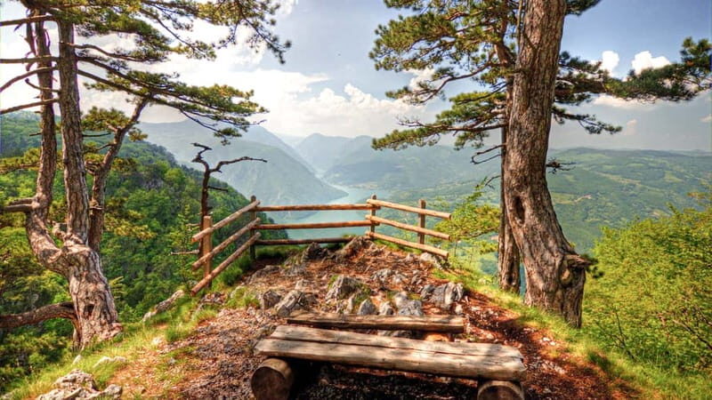 Serbia: Drina River House & Tara National Park Full Day Tour - A Deep Dive into the Tour