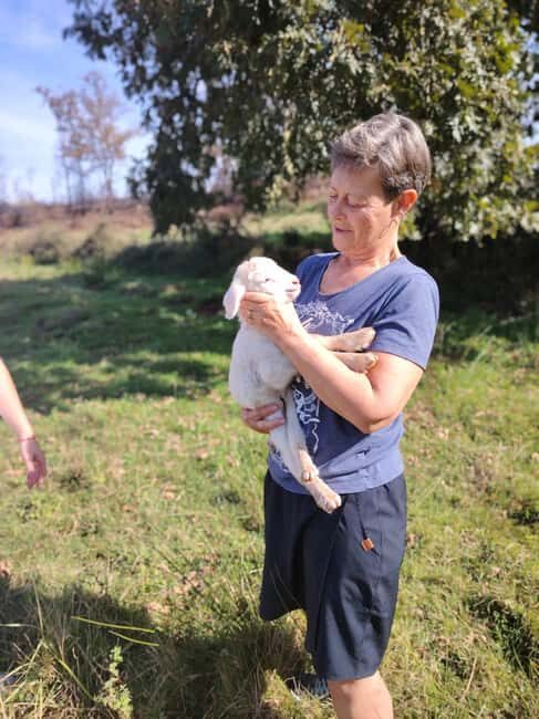 Serra da Estrela - Food and Mountain Experience - Practical Details and Considerations