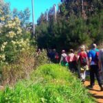 Serra de Água Valley Levada Walk - What the Reviews Say