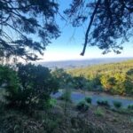 Serra de Monchique: Jeep tour with picnic included - What Youll Love About the Experience