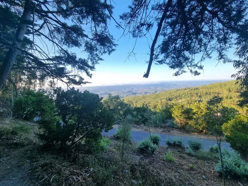 Serra de Monchique: Jeep tour with picnic included - What Youll Love About the Experience