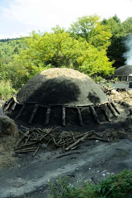 Serra San Bruno: Archiforo Forest and the charcoal burners' tradition - What Makes the Forest Special?