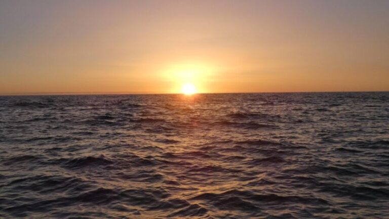 Sesimbra: Arrábida Natural Park Cabo Espichel Sunset Tour - What’s Included and What’s Not