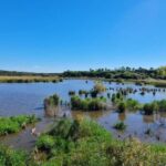 Sesimbra: Birdwatching Experience with Local Delights - The Practical Side: What to Know Before You Book