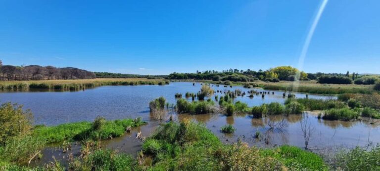 Sesimbra: Birdwatching Experience with Local Delights - The Practical Side: What to Know Before You Book