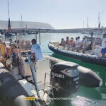 Sesimbra: Dolphin and Whales Watching with Biologist Guide - The Itinerary in Detail