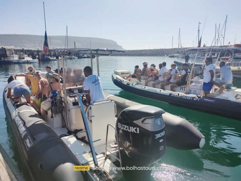 Sesimbra: Dolphin and Whales Watching with Biologist Guide - The Itinerary in Detail