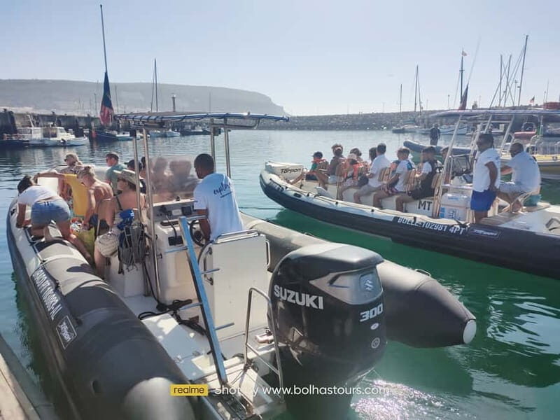 Sesimbra: Dolphin and Whales Watching with Biologist Guide - The Itinerary in Detail