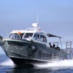 Sesimbra: Dolphin Watching with a marine biologist - Seeing Dolphins in Their Natural Habitat