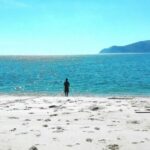 Sesimbra e Arrábida Natural Park: 1 Day Tour & Wine Tasting - The Charm of Sesimbra