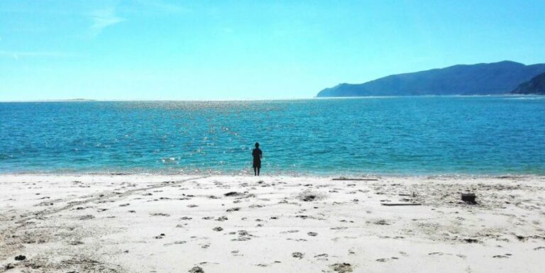 Sesimbra e Arrábida Natural Park: 1 Day Tour & Wine Tasting - The Charm of Sesimbra