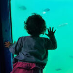 Sesimbra: Family Friendly Boat Sea Tour w/ Submarine Vision - Why This Tour Stands Out