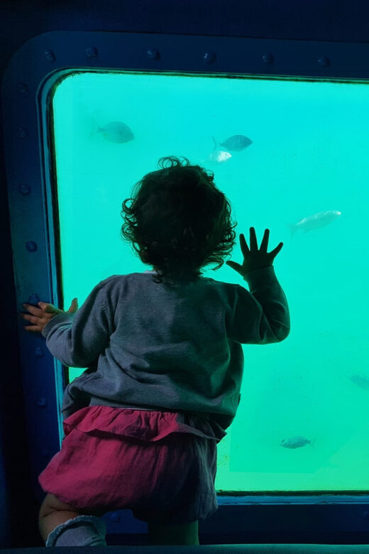 Sesimbra: Family Friendly Boat Sea Tour w/ Submarine Vision - Why This Tour Stands Out