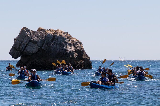 Sesimbra : Guided Kayak Tour in Arrábida Natural Park & Caves - The Value of the Tour