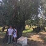 Sesimbra: Half-Day Tour to Arrabida with Wine Tasting - What Does the Itinerary Really Mean for You?