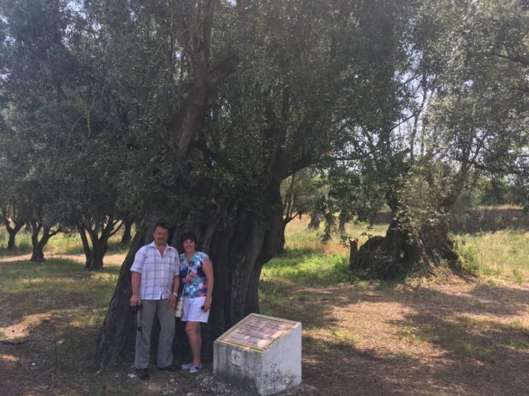 Sesimbra: Half-Day Tour to Arrabida with Wine Tasting - What Does the Itinerary Really Mean for You?