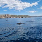 Sesimbra: Private Boat - Beach and Caves - What Travelers Say