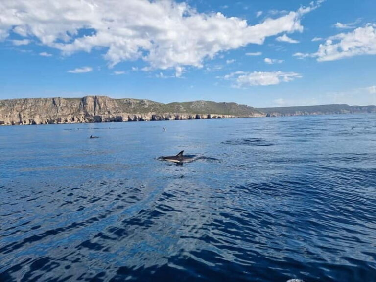 Sesimbra: Private Boat - Beach and Caves - What Travelers Say