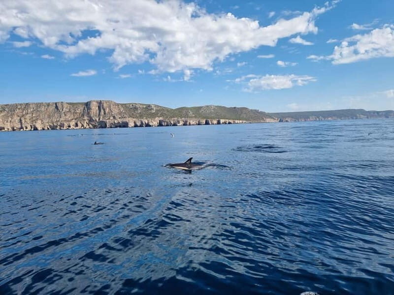Sesimbra: Private Boat - Beach and Caves - What Travelers Say