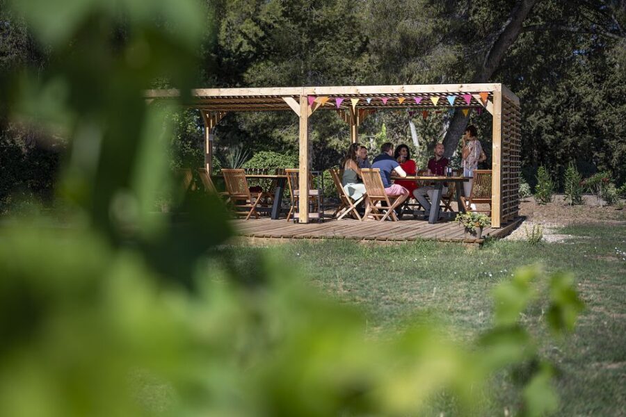 Sète: HalfDay Wine Tour - The Experience from the Reviews