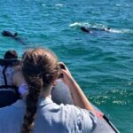 Setúbal: Dolphin-Watching Boat Tour - What Travelers Say