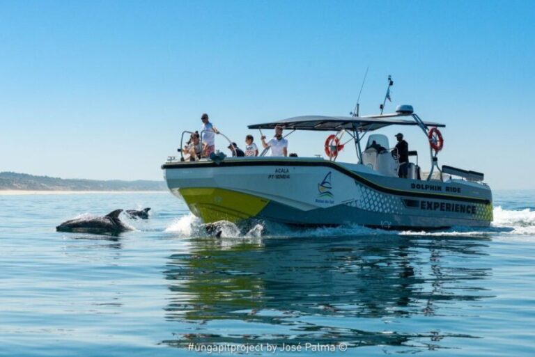 Setúbal: Dolphin Watching Boat Tour - The Itinerary: What to Expect