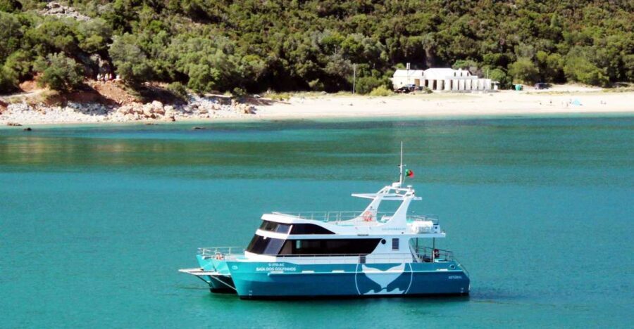 Setúbal: Dolphin Watching Tour - The Boat and Guides: What Makes This Special
