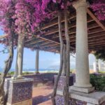 Setúbal Private Walking Tour: Off-the-Beaten-Path Charms - The Experience: Practical Details