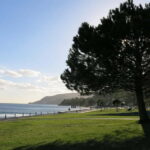 Setúbal: Private Walking Tour with Tastings - Discovering Setúbal: An Honest Look at What You Can Expect