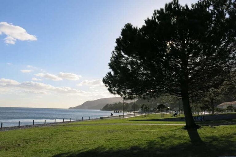 Setúbal: Private Walking Tour with Tastings - Discovering Setúbal: An Honest Look at What You Can Expect