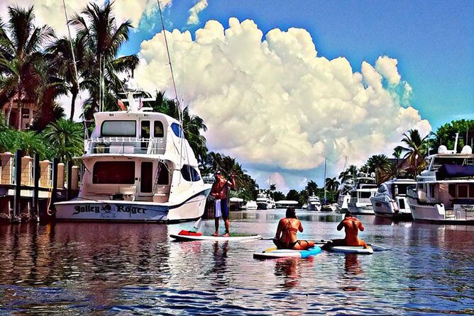 Seven Isles Tour & Exclusive Fort Lauderdale Mangrove & ECO Paddle Board / Kayak - Practical Details & Tips